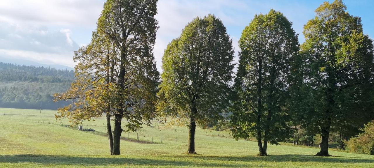 Apartma Zele Postojna Exterior foto